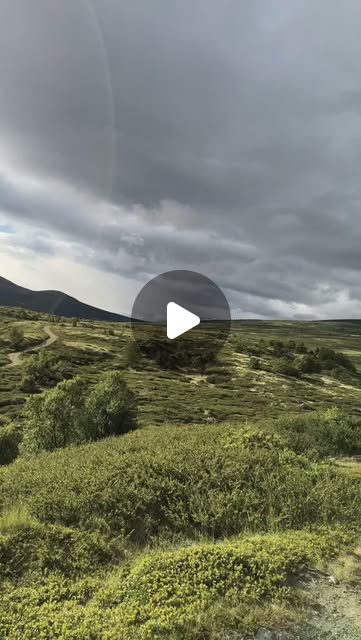 dovrefjell