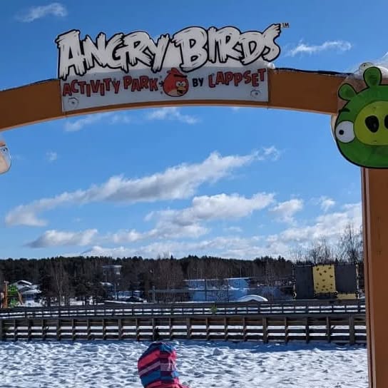 Angry Birds Activity Park
